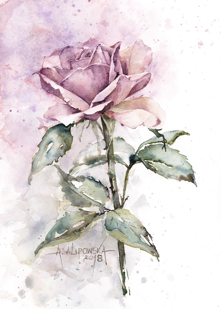 Róża - akwarela, oryginał 0380