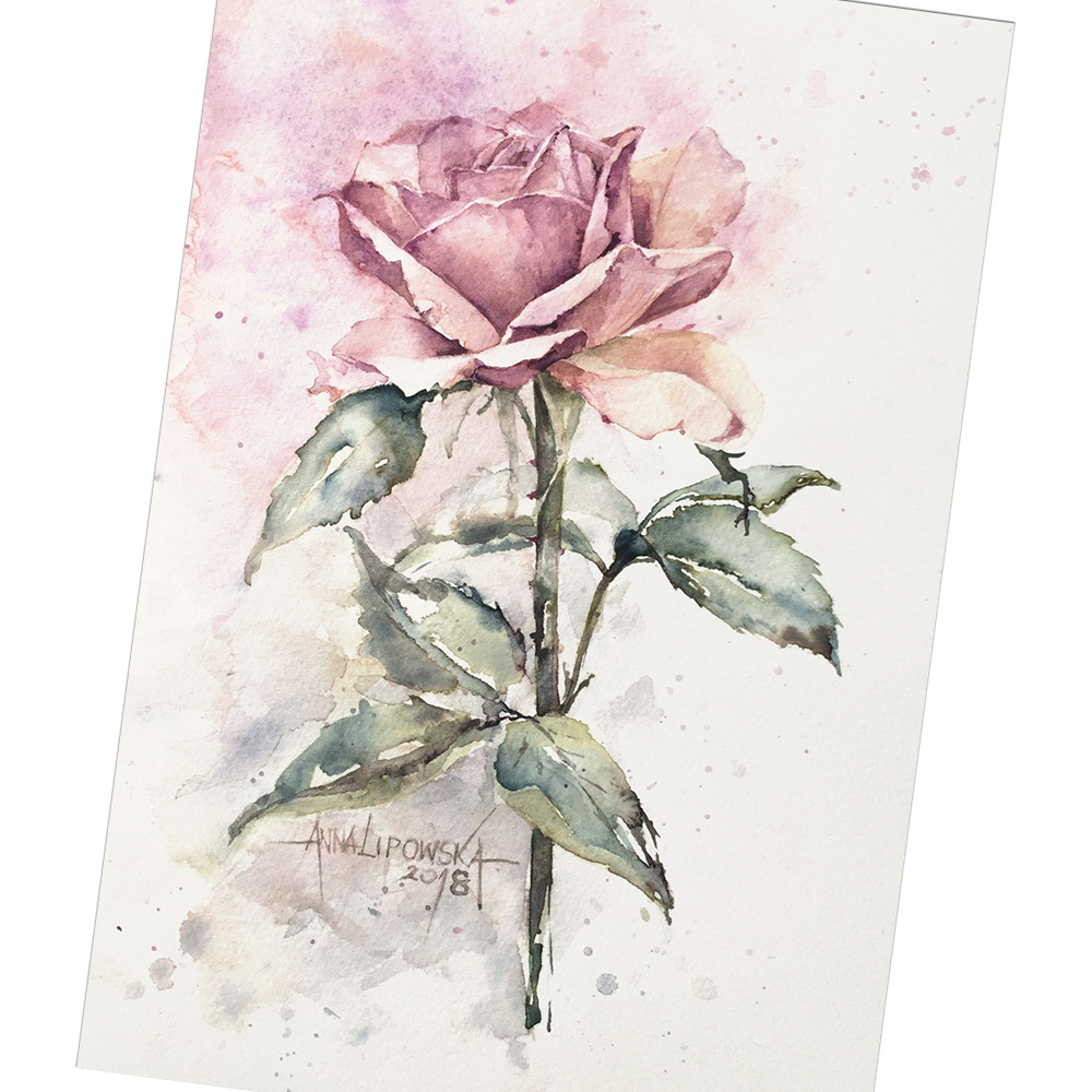 Róża - akwarela, oryginał 0380
