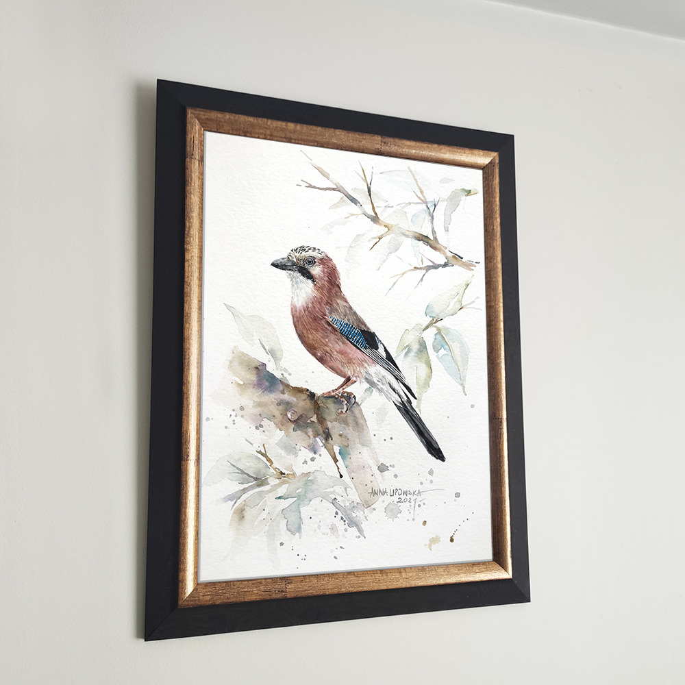 Sójka - oryginał, akwarela 0610