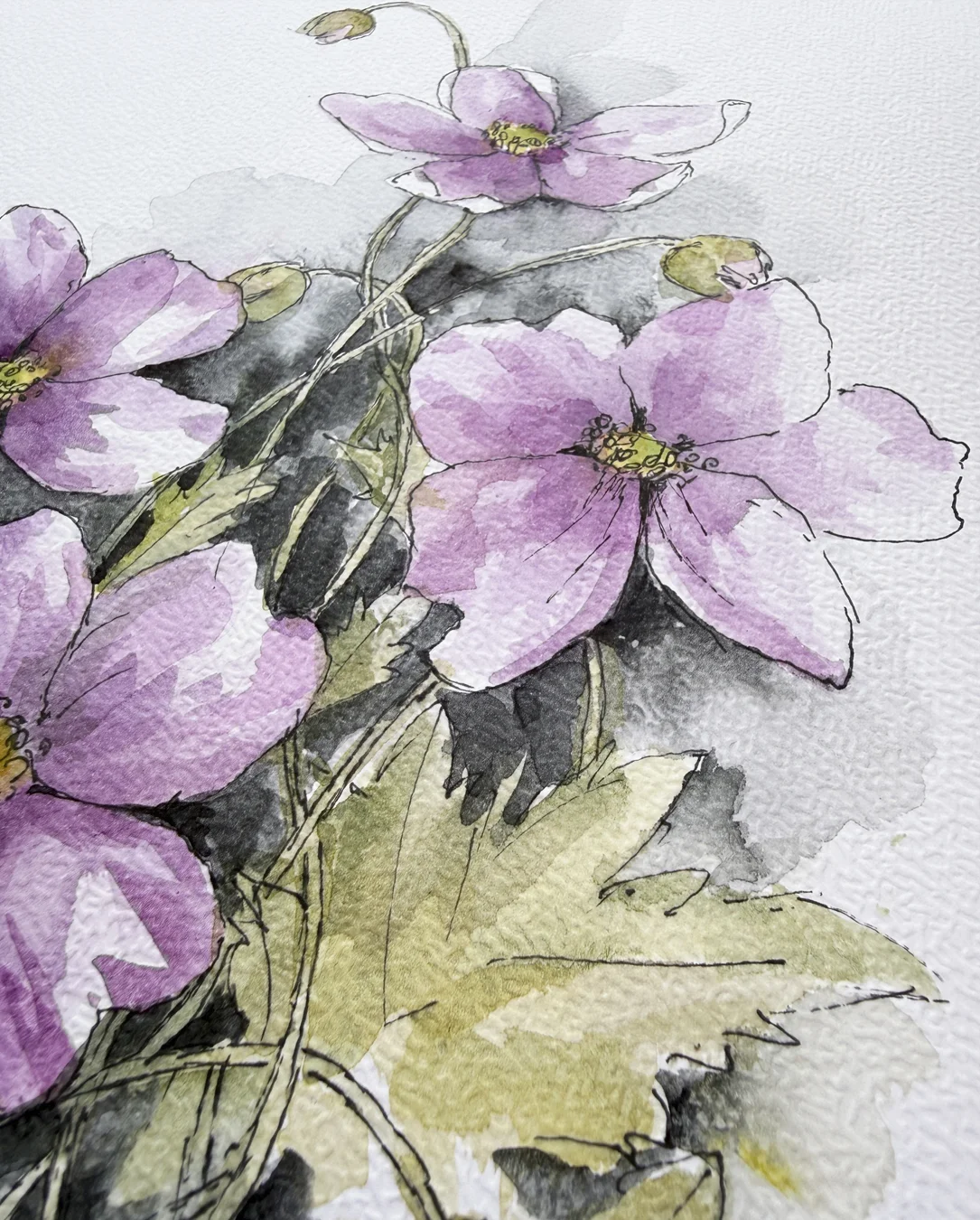 Zawilce 0823- akwarela, oryginał 21x30cm
