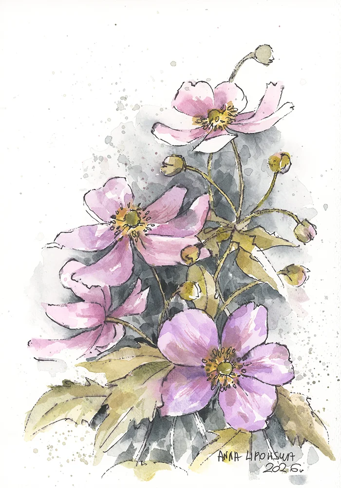 Zawilce 0818 - akwarela, oryginał 21x30cm