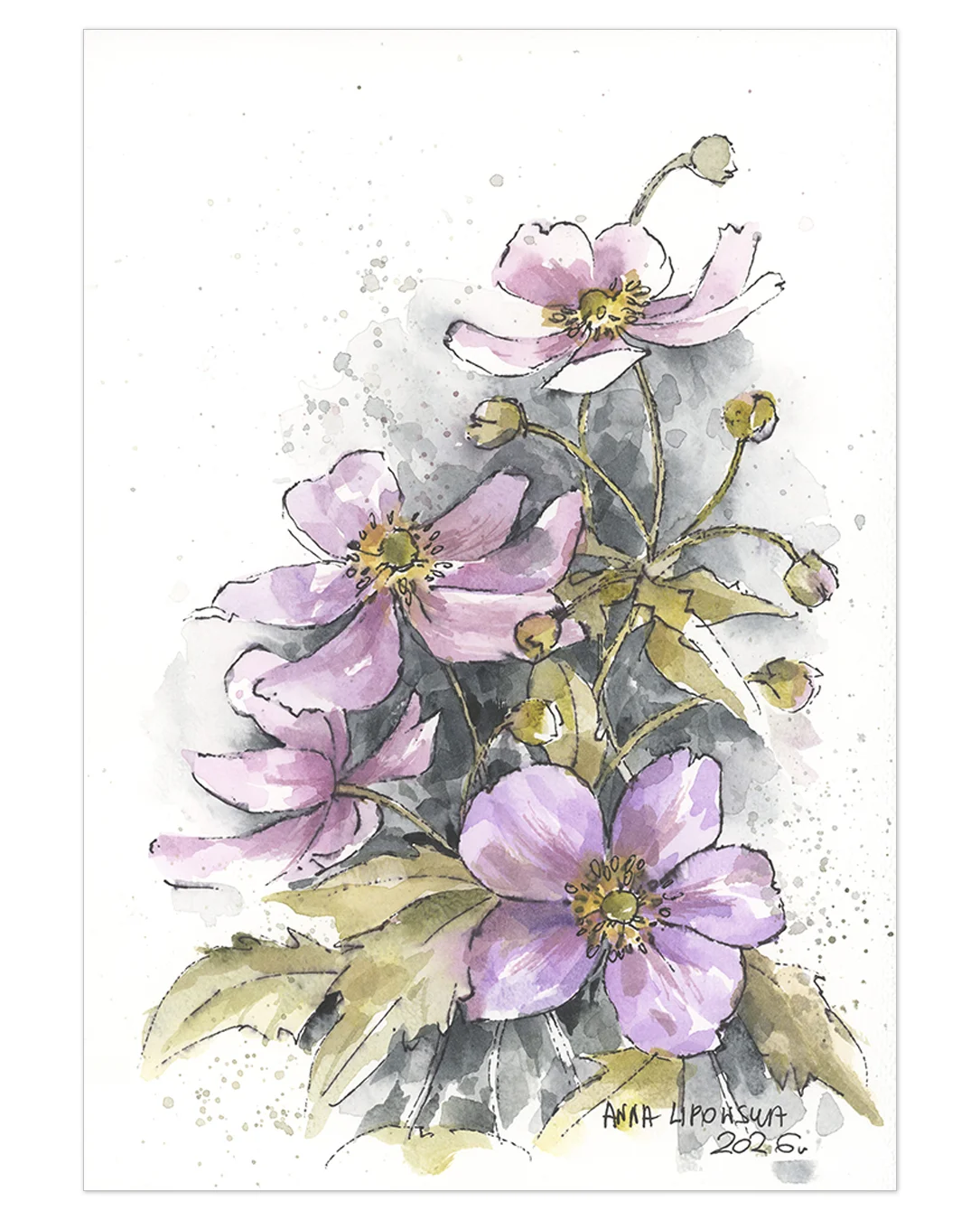 Zawilce 0818 - akwarela, oryginał 21x30cm