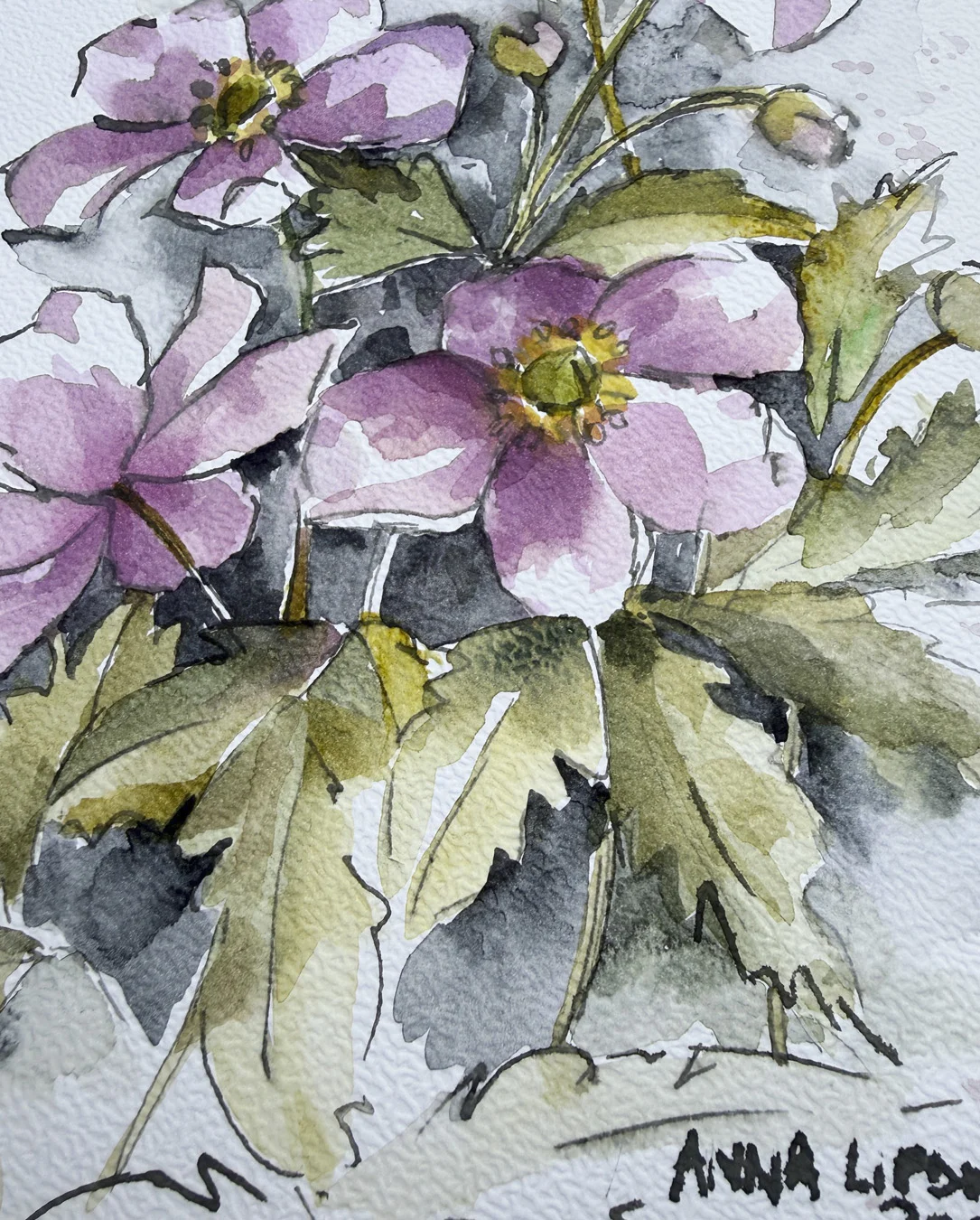Zawilce 0819 - akwarela, oryginał 21x30cm
