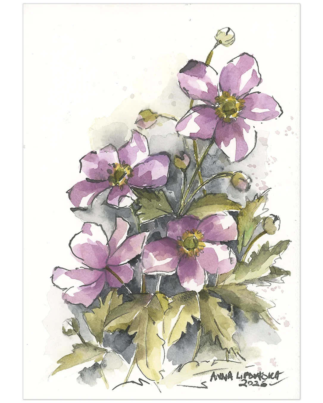 Zawilce 0819 - akwarela, oryginał 21x30cm
