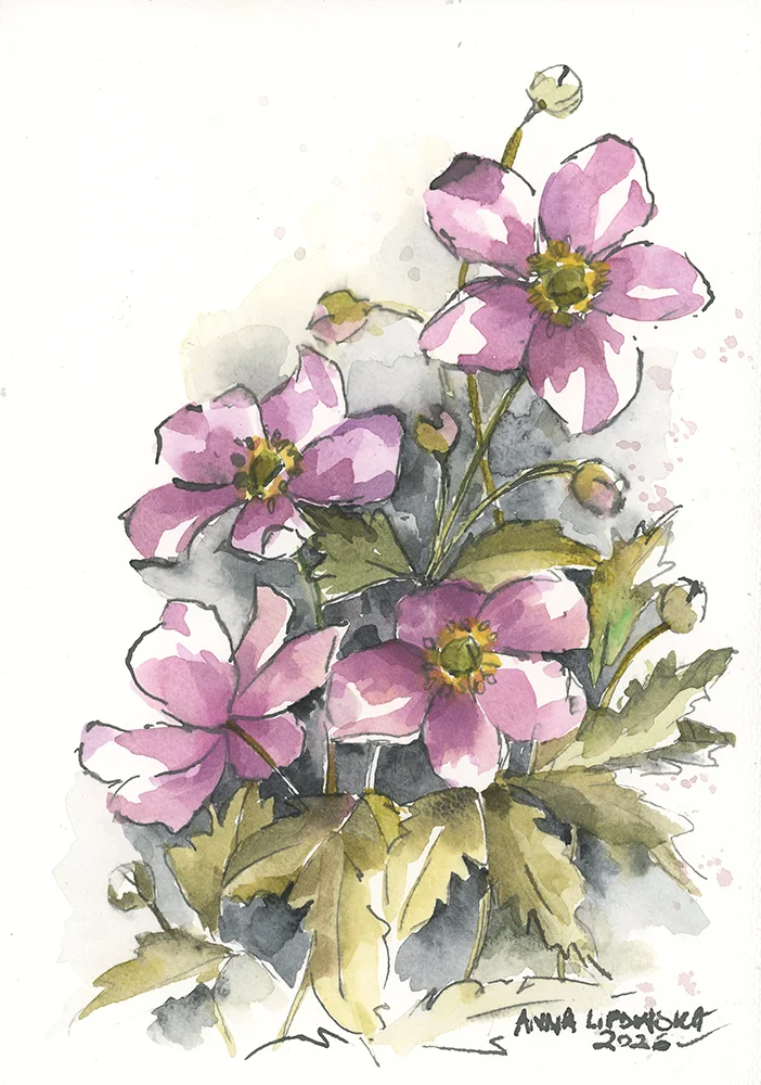 Zawilce 0819 - akwarela, oryginał 21x30cm