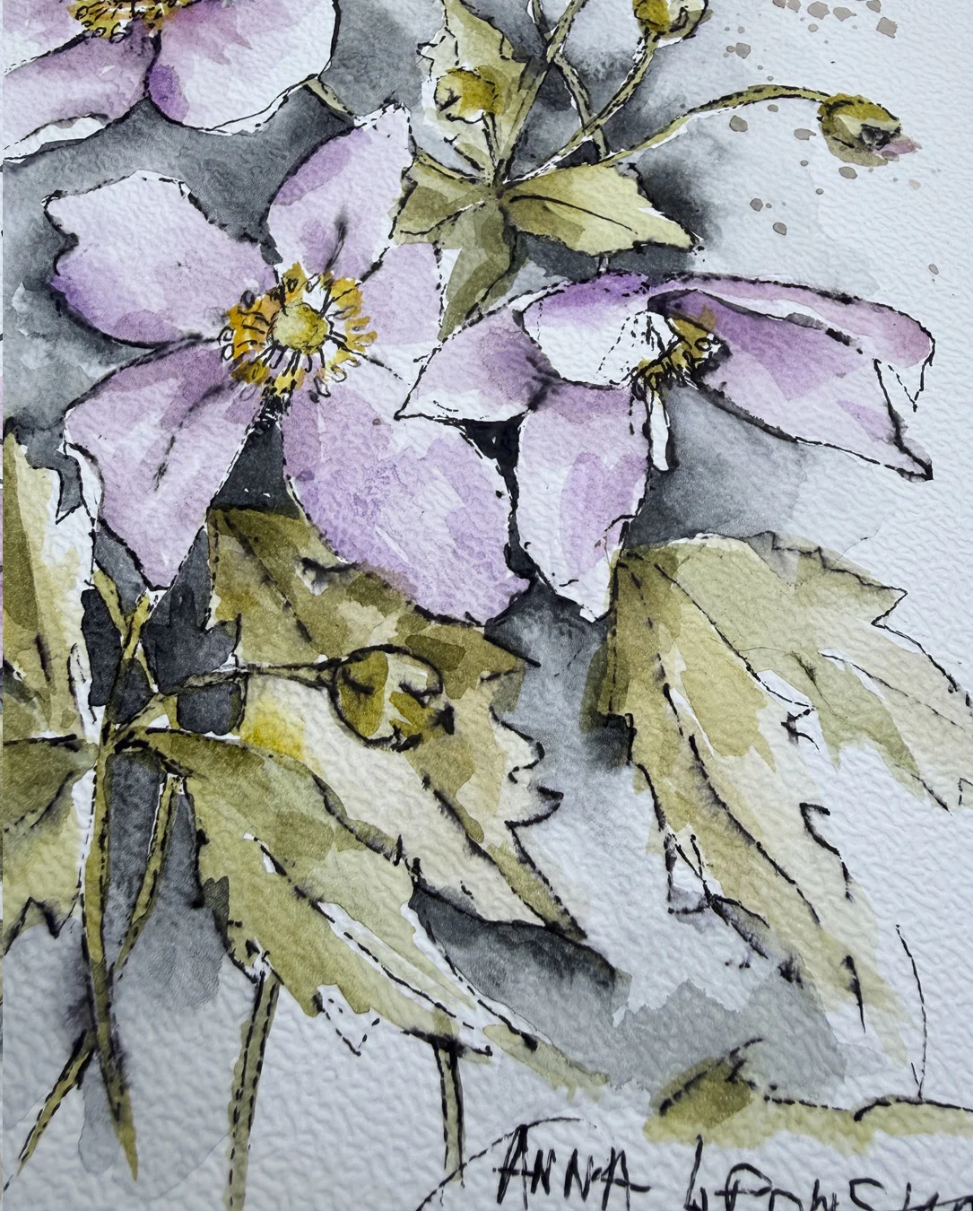 Zawilce 0820 - akwarela, oryginał 21x30cm