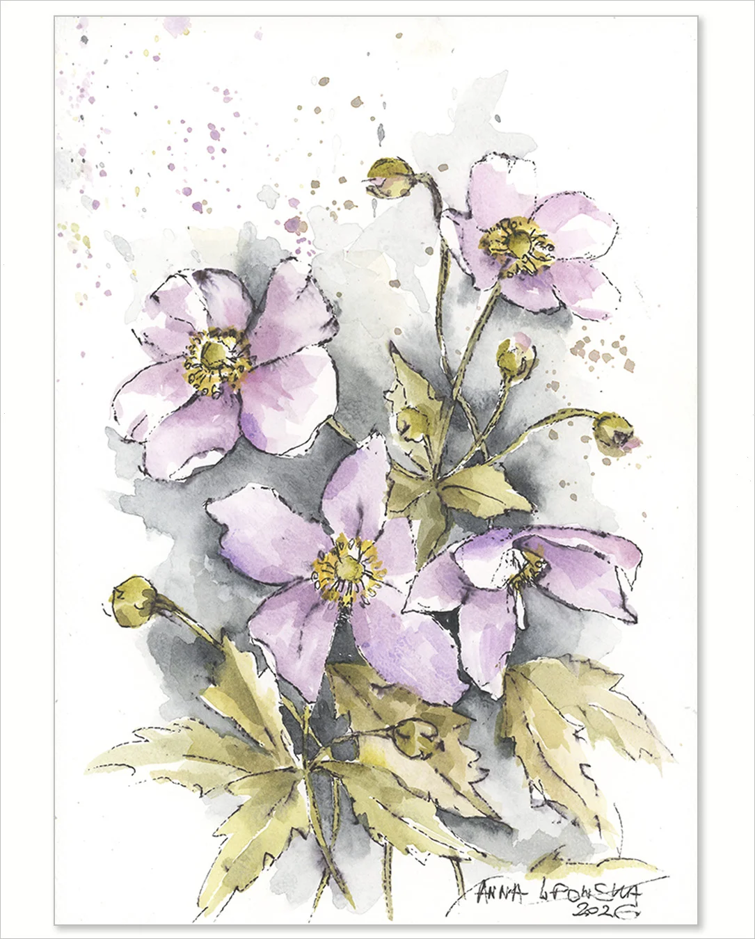 Zawilce 0820 - akwarela, oryginał 21x30cm