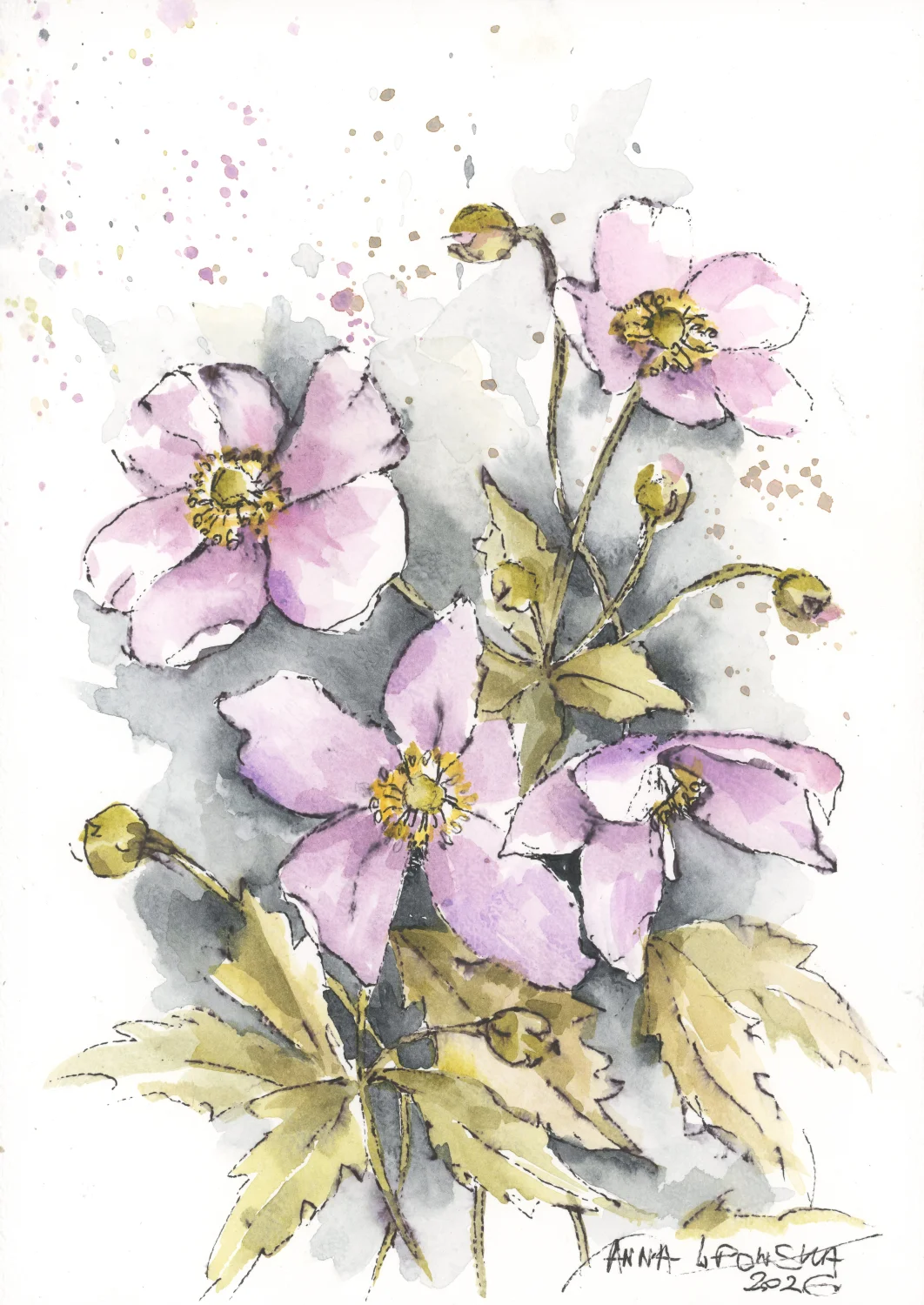 Zawilce 0820 - akwarela, oryginał 21x30cm