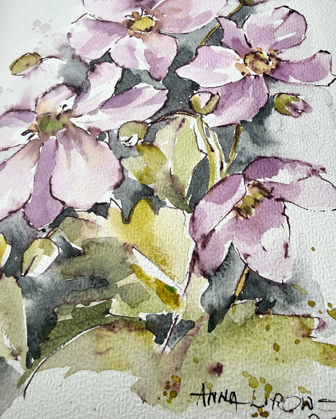 Zawilce 0822 - akwarela, oryginał 21x30cm