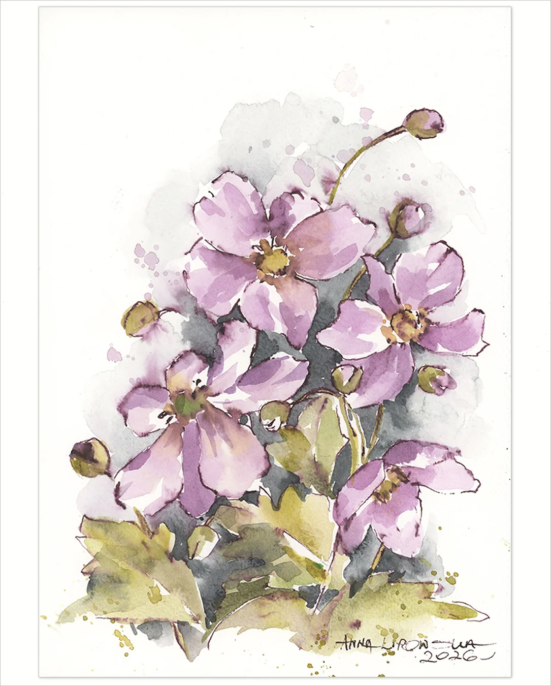 Zawilce 0822 - akwarela, oryginał 21x30cm